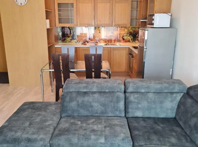 Cozy One Bedroom Apartment In City Center